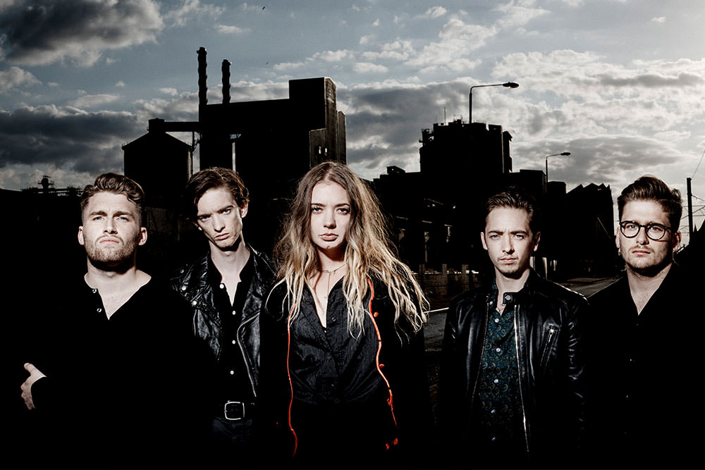 MARMOZETS